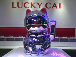 Lucky Cat | Attractions