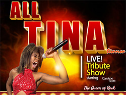 Tina Turner Tribute Show in Las Vegas