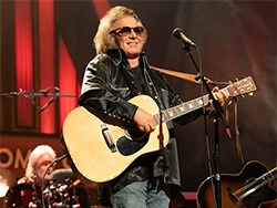 Don McLean 