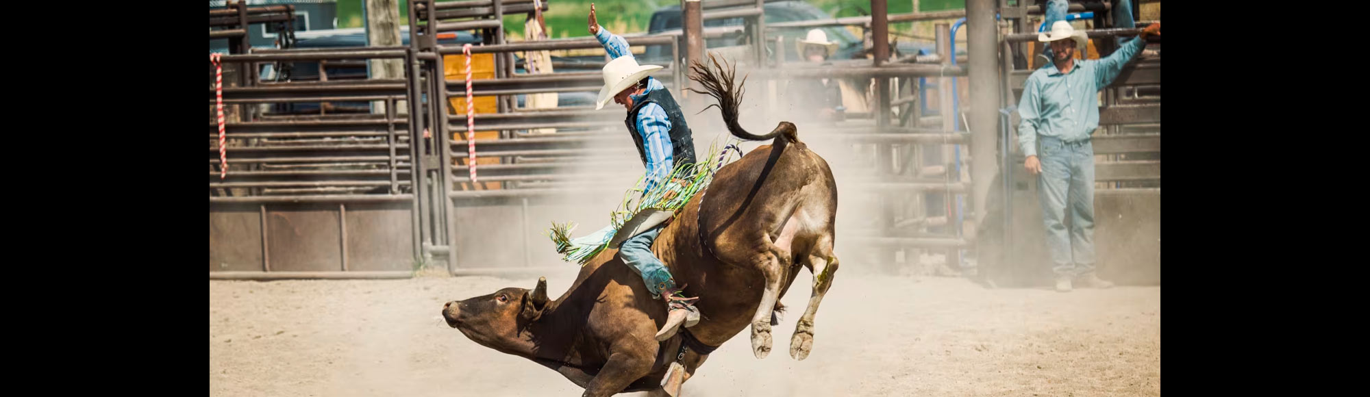 National Finals Rodeo Show Las Vegas Tickets & Reviews