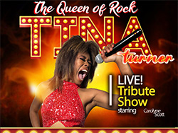 Tina Turner Tribute Show in Las Vegas